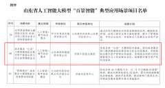 山东舜网传媒股份无限公司“元泉”大模子辅帮